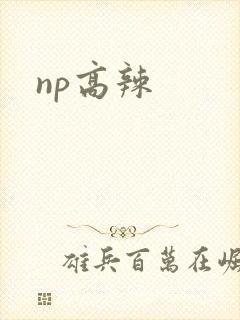np高辣