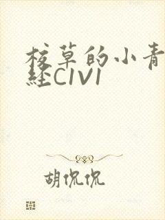 校草的小青梅不经C1V1封面