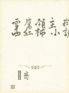 雪鹰领主 我吃西红柿 小说