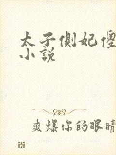 太子侧妃傻乎乎小说封面