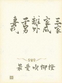 妻子离家三年,我另外成家了短剧