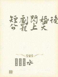 短剧闪婚后被老公宠上天