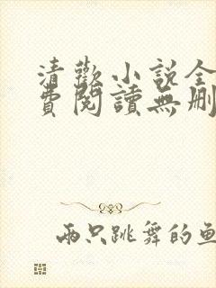 清欢小说全文免费阅读无删减封面