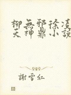 柳无邪徐凌雪吞天神鼎小说在线阅读