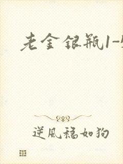 老金银瓶1-5封面