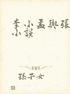 李小孟与张玉梅小说封面