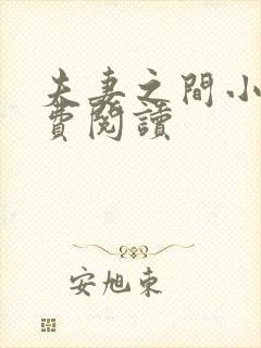 夫妻之间小说免费阅读