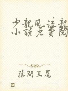 少龙风流龙剑飞小说免费阅读