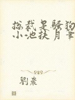 总裁是骚狗by小池扶月笔趣阁最新章节