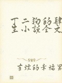 丁二狗的肆意人生小说全文免费阅读