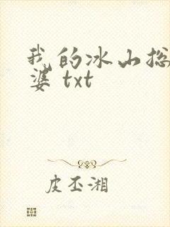 我的冰山总裁老婆 txt