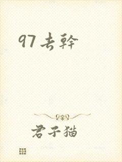 97去干封面