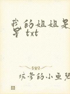 我的姐姐是大明星 txt