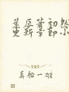 叶辰萧初然最新更新章节小说封面