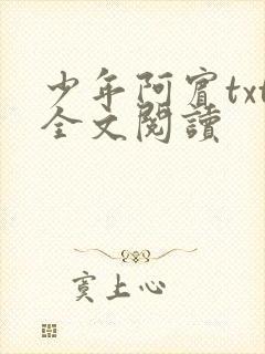 少年阿宾txt全文阅读封面