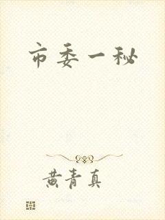 市委一秘