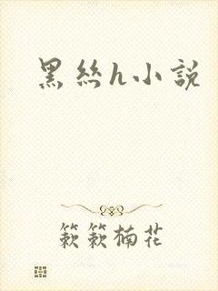 黑丝h小说