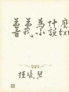 弟弟为什么这么看我小说txt