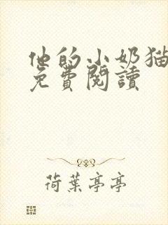 他的小奶猫全文免费阅读封面
