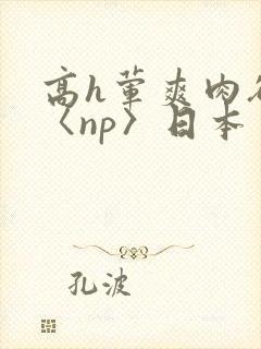 高h荤爽肉欲文〈np〉日本