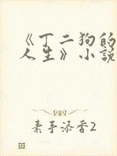 《丁二狗的逍遥人生》小说