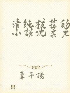 清纯校花的日常小说沈柔免费阅读