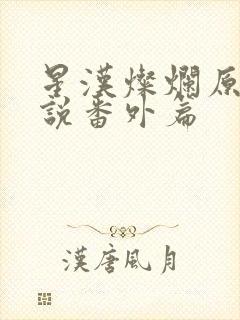 星汉灿烂原著小说番外篇