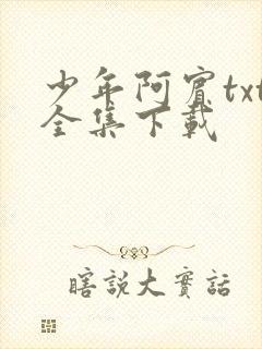 少年阿宾txt全集下载
