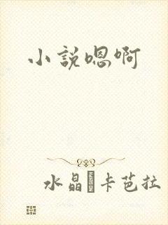 小说嗯啊
