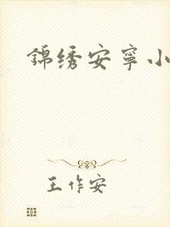 锦绣安宁小说
