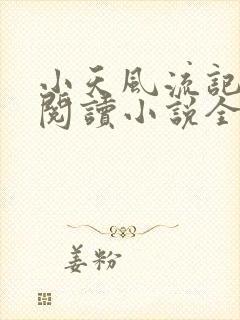 小天风流记免费阅读小说全文