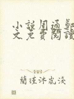 小说周通郑燕全文免费阅读无弹窗