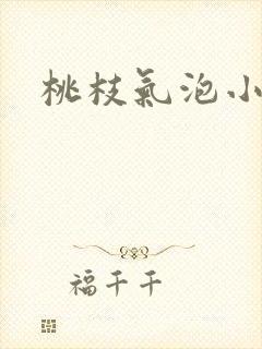 桃枝气泡小说封面