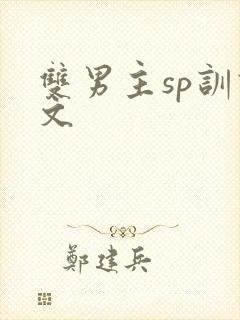 双男主sp训诫文