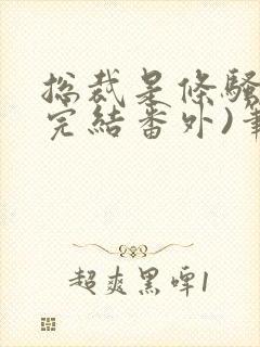 总裁是条骚狗(完结番外)笔趣阁小说