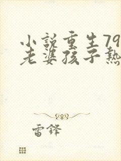 小说重生79:老婆孩子热炕头阅读