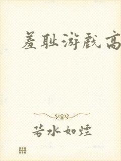 羞耻游戏高h