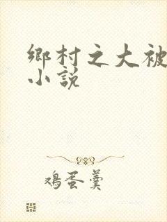乡村之大被同眠小说封面