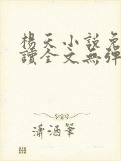 杨天小说免费阅读全文无弹窗