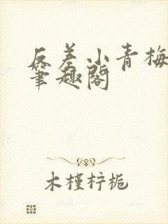 反差小青梅小说笔趣阁