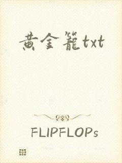 黄金笼txt