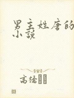 男主姓唐的总裁小说