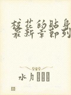 校花的贴身高手最新章节列表最封面