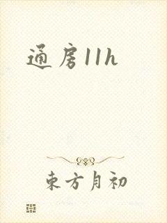 通房11h