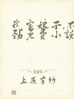 我家娘子,不对劲免费小说封面