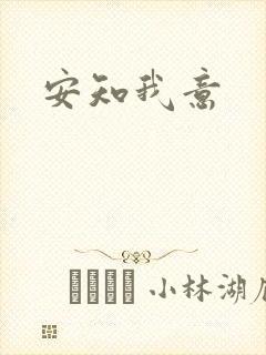 安知我意