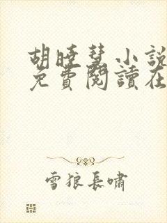 胡晓慧小说全文免费阅读在线
