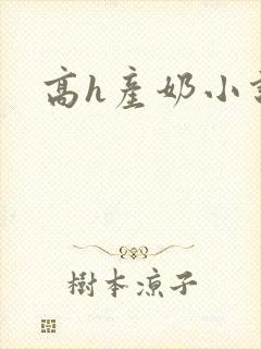 高h产奶小说封面
