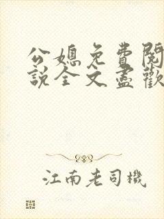 公媳免费阅读小说全文尽欢年代