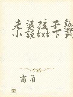 老婆孩子热炕头小说txt下载封面